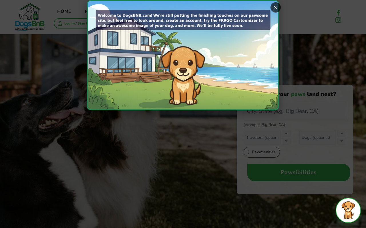DogsBnB.com